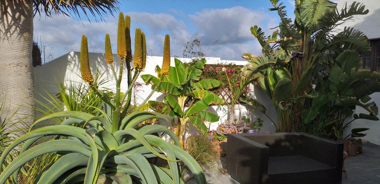 Finca Botanico Garden Apartment Guatiza Εξωτερικό φωτογραφία